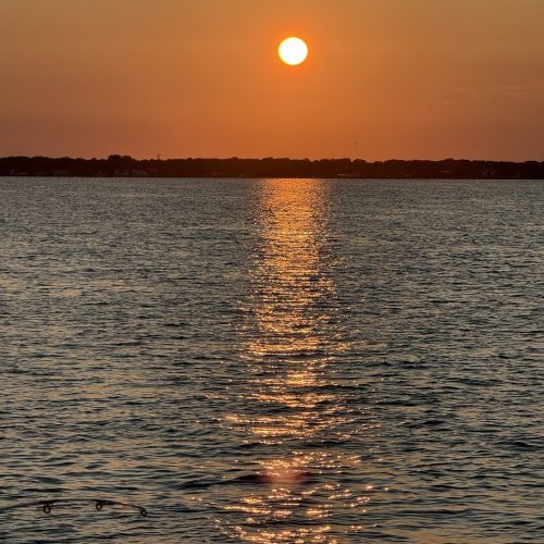 528769250_1189914646503589_7695275976175568908_n